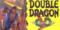 Double Dragon V: The Shadow Falls