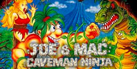 Joe & Mac: Caveman Ninja