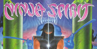 Ninja Spirit