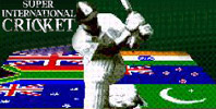 Super International Cricket