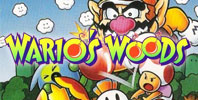 Wario's Woods