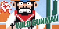 Wild Gunman