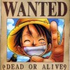 mugiwara_no_luffy