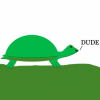 Turtledud3